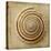 Sepia Shell V-Judy Stalus-Stretched Canvas