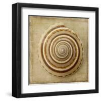 Sepia Shell V-Judy Stalus-Framed Art Print