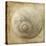 Sepia Shell VI-Judy Stalus-Stretched Canvas