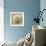 Sepia Shell VI-Judy Stalus-Framed Art Print displayed on a wall