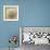 Sepia Shell VI-Judy Stalus-Framed Art Print displayed on a wall