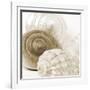 Sepia Shells-Tom Quartermaine-Framed Premium Giclee Print