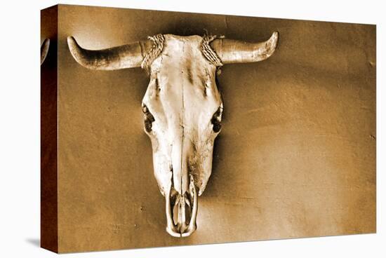 Sepia Steer-Kari Brooks-Stretched Canvas