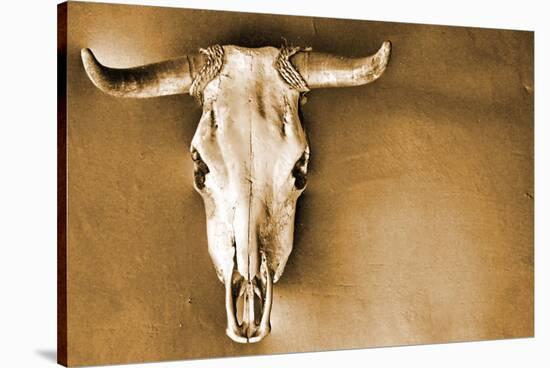 Sepia Steer-Kari Brooks-Stretched Canvas