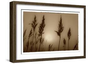 Sepia Sunrise-Adrian Campfield-Framed Giclee Print