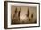 Sepia Sunrise-Adrian Campfield-Framed Giclee Print