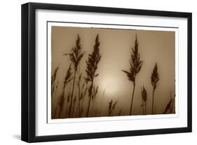 Sepia Sunrise-Adrian Campfield-Framed Giclee Print
