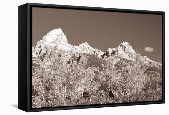 Sepia Teton 3-Gordon Semmens-Framed Stretched Canvas