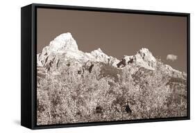 Sepia Teton 3-Gordon Semmens-Framed Stretched Canvas