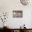 Sepia Teton 3-Gordon Semmens-Stretched Canvas displayed on a wall