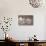 Sepia Teton 3-Gordon Semmens-Photographic Print displayed on a wall