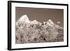 Sepia Teton 3-Gordon Semmens-Framed Photographic Print