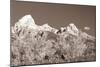 Sepia Teton 3-Gordon Semmens-Mounted Photographic Print