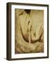 Sepia Tone I-Kari Taylor-Framed Giclee Print