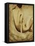 Sepia Tone I-Kari Taylor-Framed Stretched Canvas