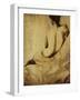 Sepia Tone II-Kari Taylor-Framed Giclee Print