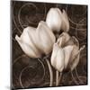 Sepia Tulip I-Christine Zalewski-Mounted Art Print