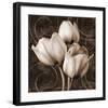 Sepia Tulip I-Christine Zalewski-Framed Art Print