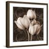 Sepia Tulip I-Christine Zalewski-Framed Art Print