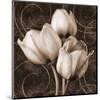 Sepia Tulip I-Christine Zalewski-Mounted Art Print