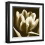 Sepia Tulip I-Renee W. Stramel-Framed Art Print