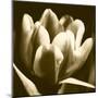 Sepia Tulip I-Renee W. Stramel-Mounted Art Print