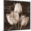 Sepia Tulip II-Christine Zalewski-Mounted Art Print