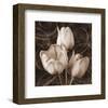 Sepia Tulip II-Christine Zalewski-Framed Art Print