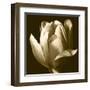 Sepia Tulip II-Renee W. Stramel-Framed Art Print