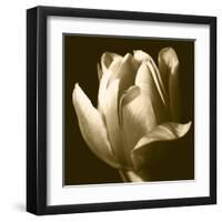 Sepia Tulip II-Renee W. Stramel-Framed Art Print