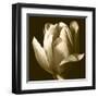 Sepia Tulip II-Renee W. Stramel-Framed Art Print