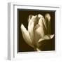 Sepia Tulip II-Renee W. Stramel-Framed Art Print