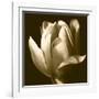 Sepia Tulip II-Renee W. Stramel-Framed Art Print