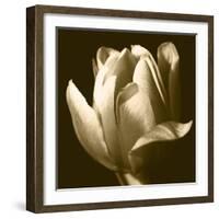 Sepia Tulip II-Renee W. Stramel-Framed Art Print