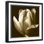 Sepia Tulip II-Renee W. Stramel-Framed Art Print