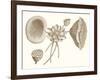 Sepia Water Lily I-Vision Studio-Framed Art Print