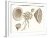 Sepia Water Lily I-Vision Studio-Framed Art Print