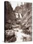 Sepia Yellowstone-Gordon Semmens-Stretched Canvas