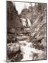 Sepia Yellowstone-Gordon Semmens-Mounted Photographic Print