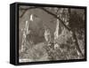Sepia Zion 2-Gordon Semmens-Framed Stretched Canvas