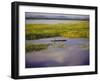 Sepik River, Papua New Guinea-Sybil Sassoon-Framed Premium Photographic Print