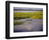 Sepik River, Papua New Guinea-Sybil Sassoon-Framed Photographic Print