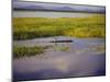 Sepik River, Papua New Guinea-Sybil Sassoon-Mounted Photographic Print