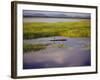 Sepik River, Papua New Guinea-Sybil Sassoon-Framed Photographic Print