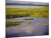 Sepik River, Papua New Guinea-Sybil Sassoon-Mounted Photographic Print