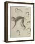 Sept singes-Georges Seurat-Framed Giclee Print