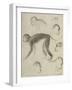 Sept singes-Georges Seurat-Framed Giclee Print