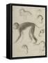 Sept singes-Georges Seurat-Framed Stretched Canvas