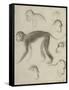 Sept singes-Georges Seurat-Framed Stretched Canvas