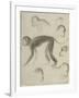 Sept singes-Georges Seurat-Framed Giclee Print